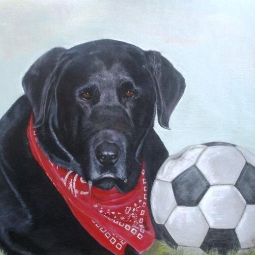 I'm an Animal Artist; portraits, pet memorials,signs & murals. I focus on Labrador Retrievers with an ocean theme! 
https://t.co/06lpv2WXeR…