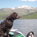 Brian Gorney - @COLOKIE - Twitter