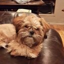 carol poulos - @CarolPoulos - Twitter