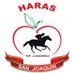 Haras San Joaquín (@hsanjoaquin) Twitter profile photo Haras San Joaquín (@hsanjoaquin) Twitter profile photo