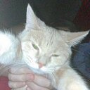 Shawn Hay - @trickdaddyhay1 - Twitter