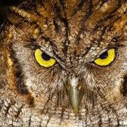 sanchez02ta's profile picture. Ingeniero Industrial