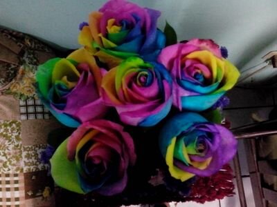 jazstar09's profile picture. 