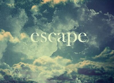 carli895667's profile picture. 