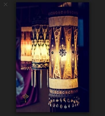 shujihgff24's profile picture. 