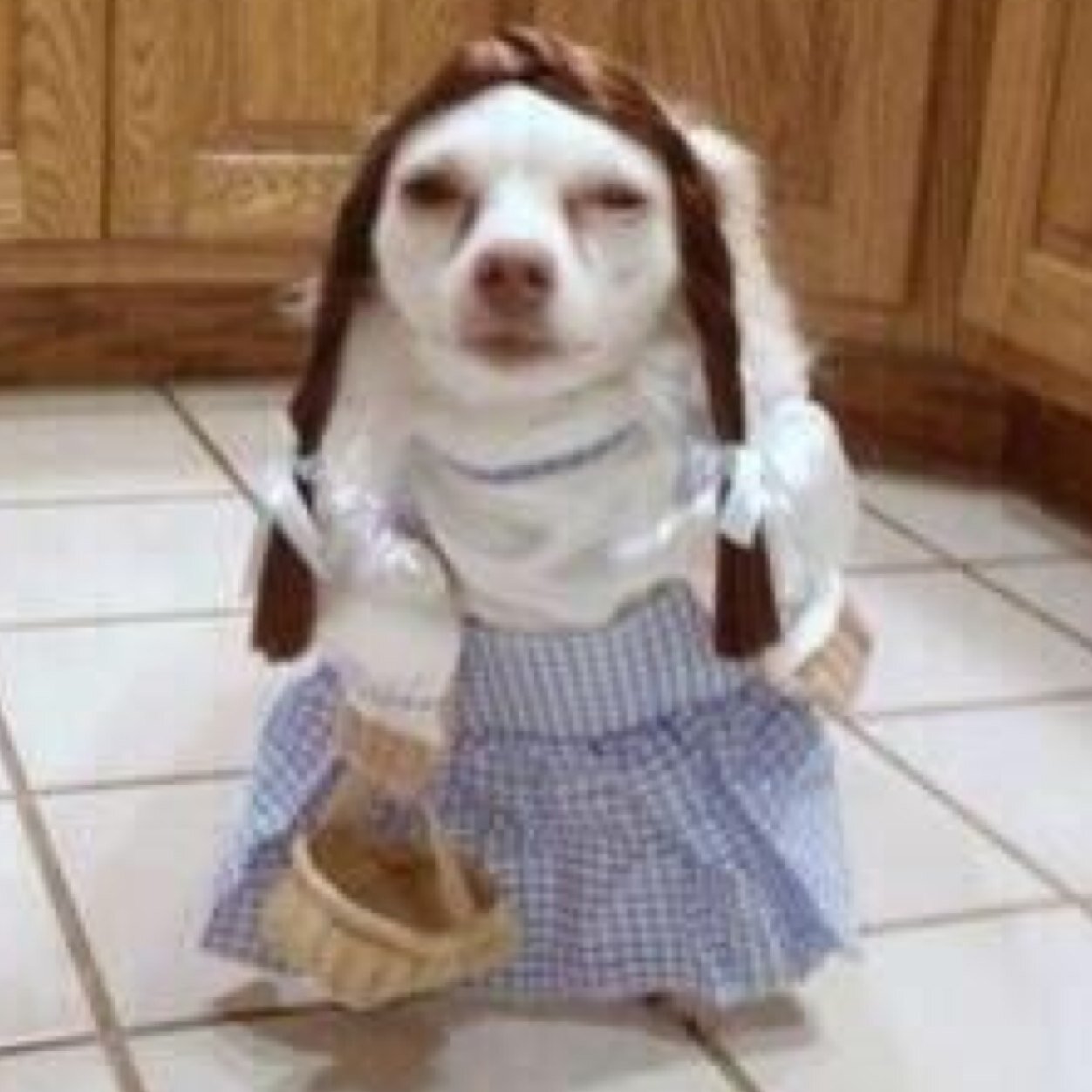 MinkHope's profile picture. Be Free. Be Young. Be Wild.✌️