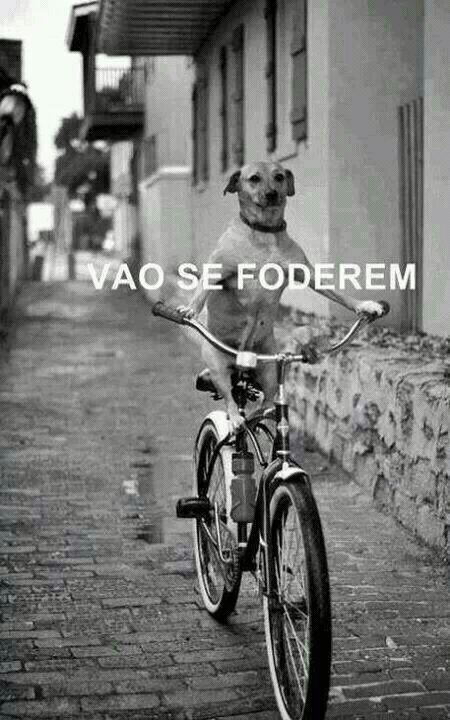Se não fosse complicado não seria EU.