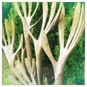 Jeremy Bricker - @JeremyBricker - Twitter