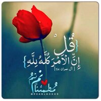 اسير الغربة (@anafrar) 's Twitter Profile