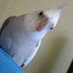 金光英実(韓日翻訳/ヨンシル/オカメインコかぶり♂の母) (@hidemi_k) Twitter profile photo 金光英実(韓日翻訳/ヨンシル/オカメインコかぶり♂の母) (@hidemi_k) Twitter profile photo