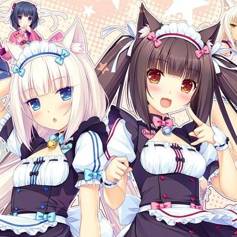 僕は台湾人ですが日本の皆さんもどんどん友達になって下さいねWW