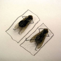 Eon de Kock (@eondekock) 's Twitter Profile