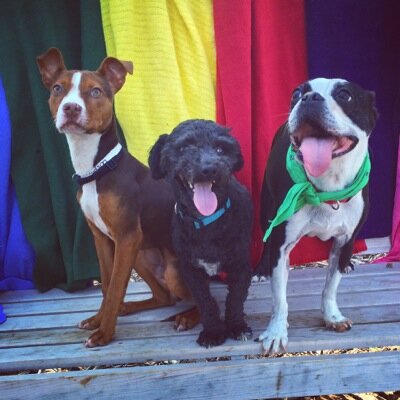 Sockermonkie5's profile picture. 