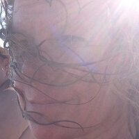 sandra harbison (@sgharbison) 's Twitter Profile