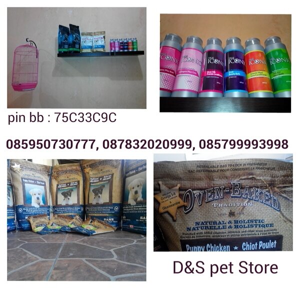 D&S pet store Jl. Karang Ingas Raya no 9