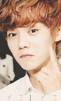 喜鲁汉蠢事 EXO-M. 北京中国
