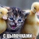 May_1917_'s profile picture. 