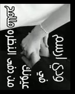 kik: TARQ ZAED استقرام _tarq5_
