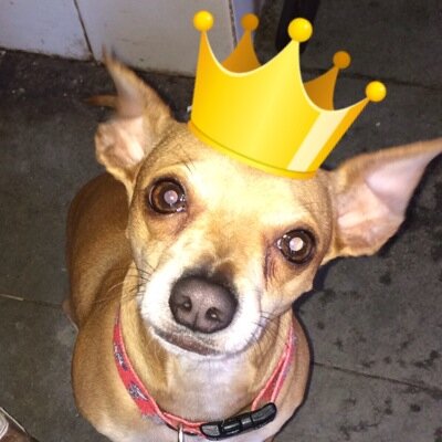 Varonfn's profile picture. 