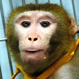 あなたのトプ画に一言 右 かわいい系男子ですね 優しそう 左 かわいい系女子ですね 声が高そう 同じポーズで幸せ感じます Http T Co Rbnon92mj0 あなたのトプ画に一言 右 かわいい系男子ですね 優しそう 左 かわいい系女子ですね 声が高そう 同じポーズで幸せ感じます Http T Co Rbnon92mj0