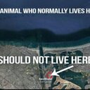 steve Ouellet  - @cruz8586 - Twitter