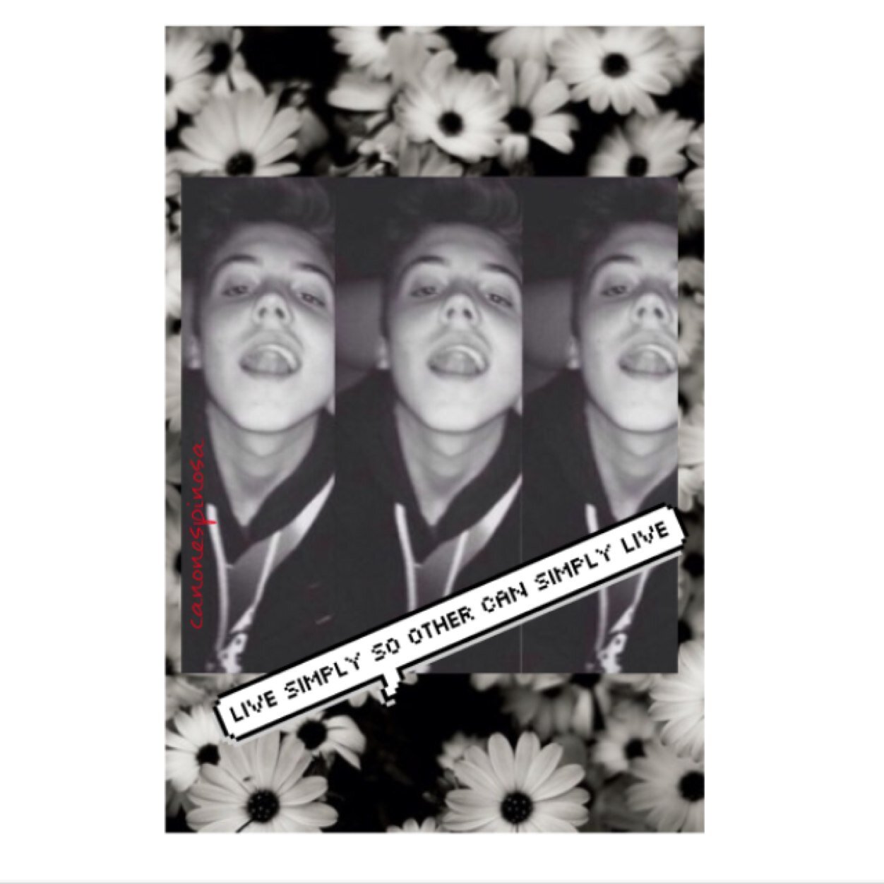 canonespinosx's profile picture. even after she pulled all the petals off her flowers, she knew he loved her not.  /   ig / canonespinosa  /  1/12 on my main @fxdedespinosx