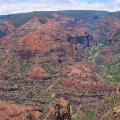 pachjo's profile picture. 