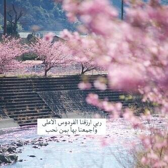 ‏‏والذي خلق قلوبكم من طُهر الجنة وفطرني على حُبه
أني أُحبكم حُباً لايُقدِّره شيئاً على هذة الأرض، حُباً يصِل لـ السماء امي وابي