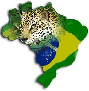 save_amazon's profile picture. Save the Amazon, Save the World