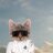 aemeswe's profile image