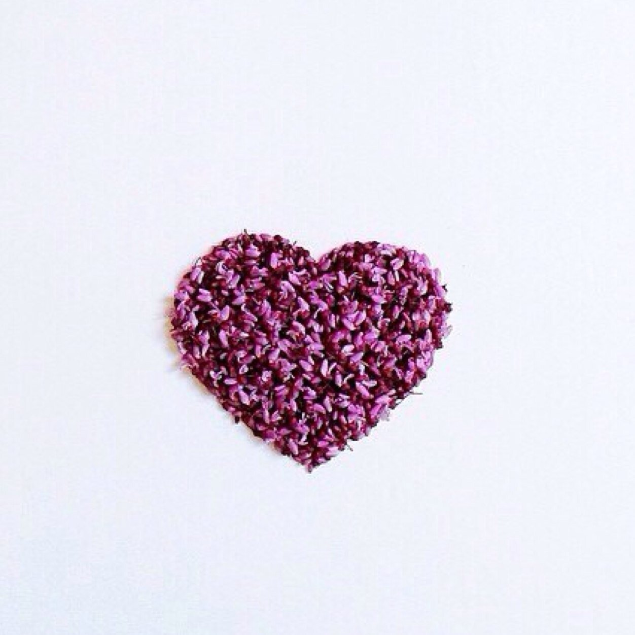 🌷 (اللهم صل وسلم على نبينا محمد )Ph-Wr-H🎯..يارب وفقنا لما تحبه وترضاه💛.. 💎✒️