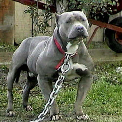 Bonganemavuso1's profile picture. Not everything in life is cut and dry you have to work hard so that you can live like a king and treat your family like royalty