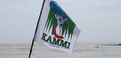 kammigresik's profile picture. 