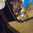 netrocyn's profile image