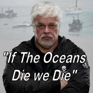 Educational/Awareness Site with facts about issues involving our Dying Oceans and Eco-System. I am a Sea Shepherd Volunteer!