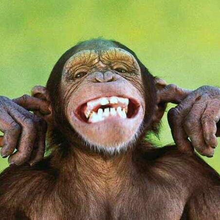 i'm a monkey, my parents are the greatest scientists i've ever met, i love bananas