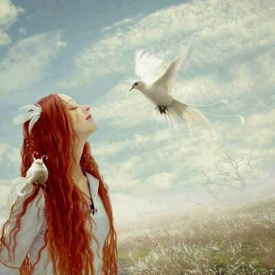 Dreamer