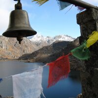 Bruder_Klaus (@bruder_klaus) 's Twitter Profile Photo