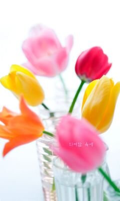 잘 살고 있고, 계속 잘 살고 싶은 대한민국 국민