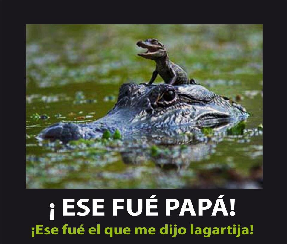 joseantguzman's profile picture. Ejecutivo de cuentas en Publicidad y Marketing