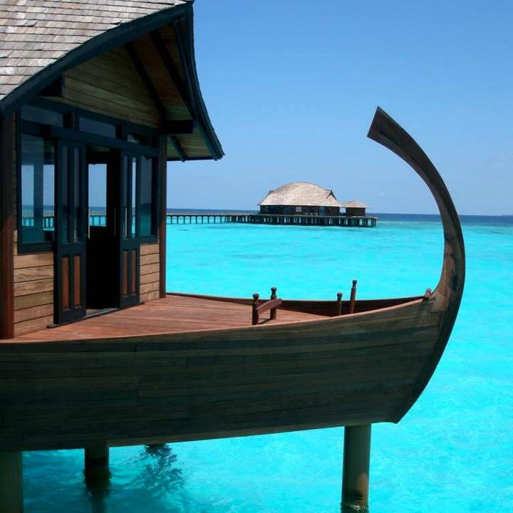 maldivedotcom's profile picture. Your source of information on Maldives resorts, hotels, safari live-aboard and guest houses information.
