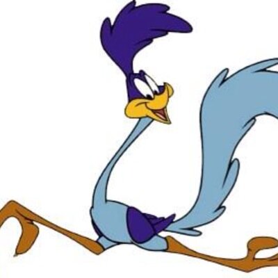 coast1996's profile picture. 