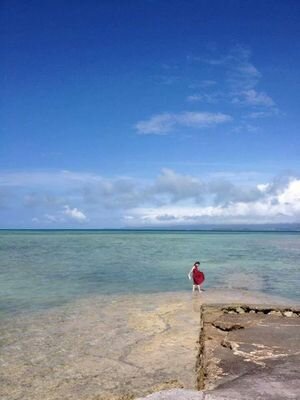 mirai7saku's profile picture. 情報収集に使い始めました！　関東