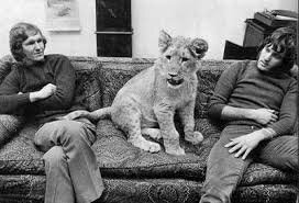 LionFromHarrods