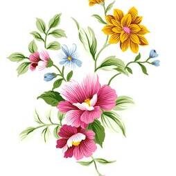 hanna_xiang's profile picture. Let life be beautiful like summer flowers