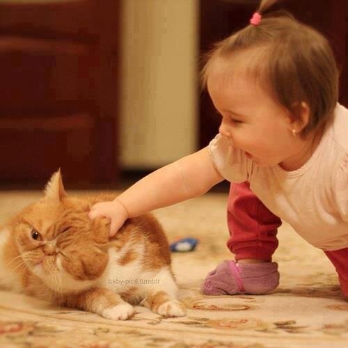 .!مفيش بيو اكتبه..اســـرق يعنى .لا والنبى اسرق