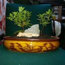 Jason Ludlow - @Jakefish69 - Twitter