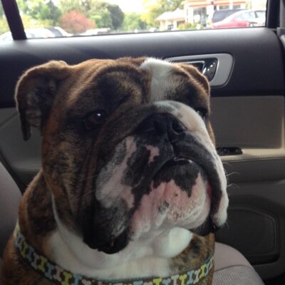 ddb1776's profile picture. 