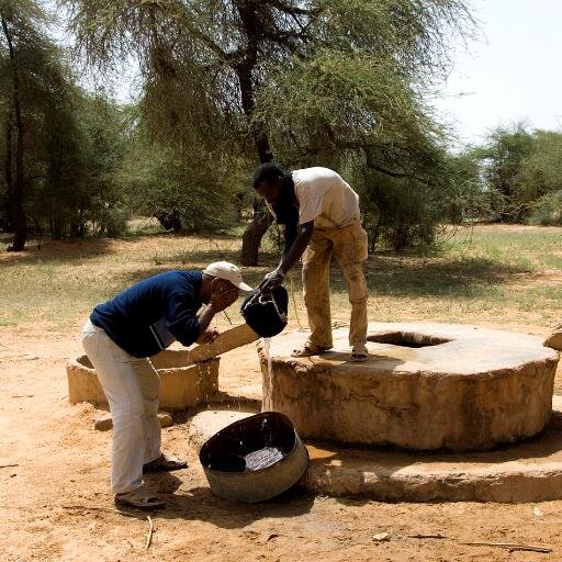 domaine humanitaire et écologique en Mauritanie : gestionnaire d'initiatives médicales et environnementales,