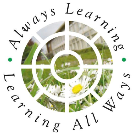 nsfg_business's profile picture. 